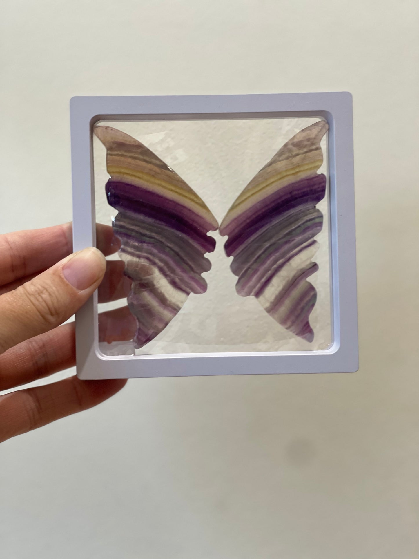 Rainbow Fluorite Butterfly in display case 01