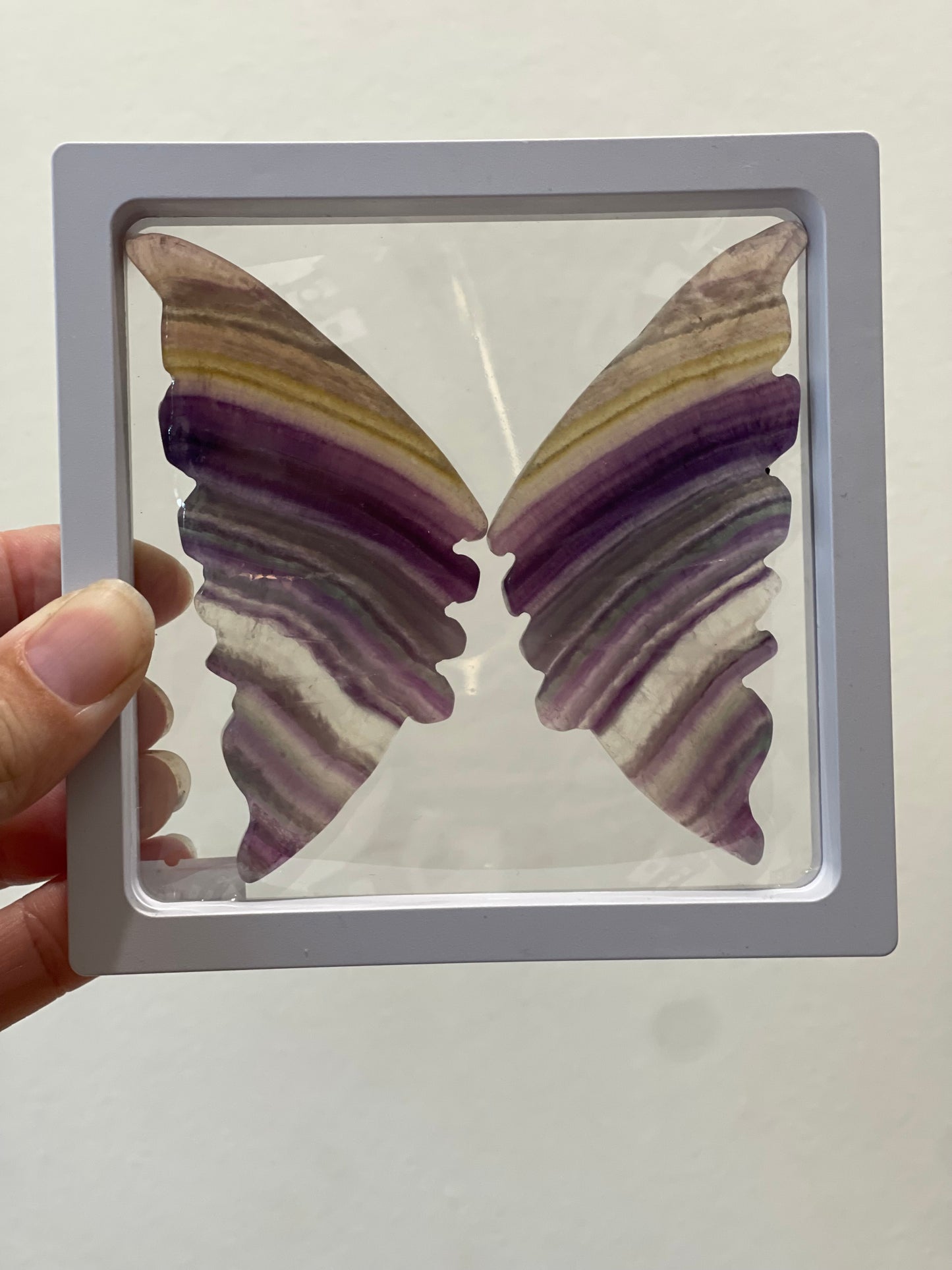 Rainbow Fluorite Butterfly in display case 01