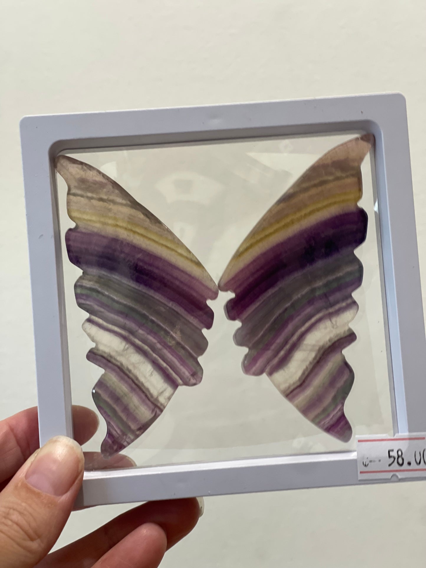 Rainbow Fluorite Butterfly in display case 01