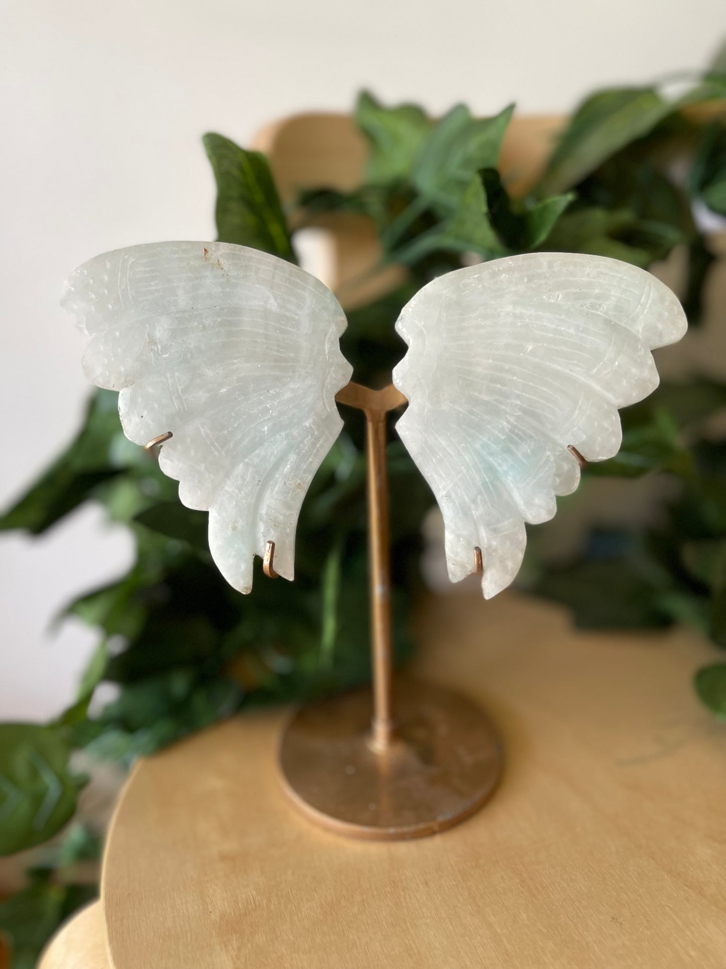 Blue Aragonite Wings