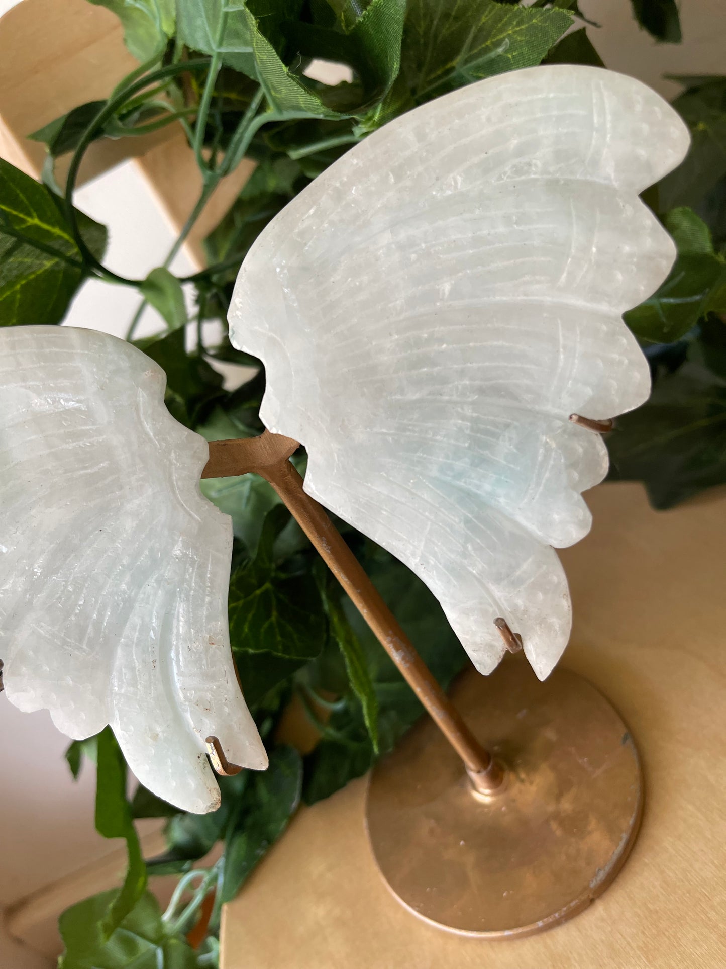 Blue Aragonite Wings