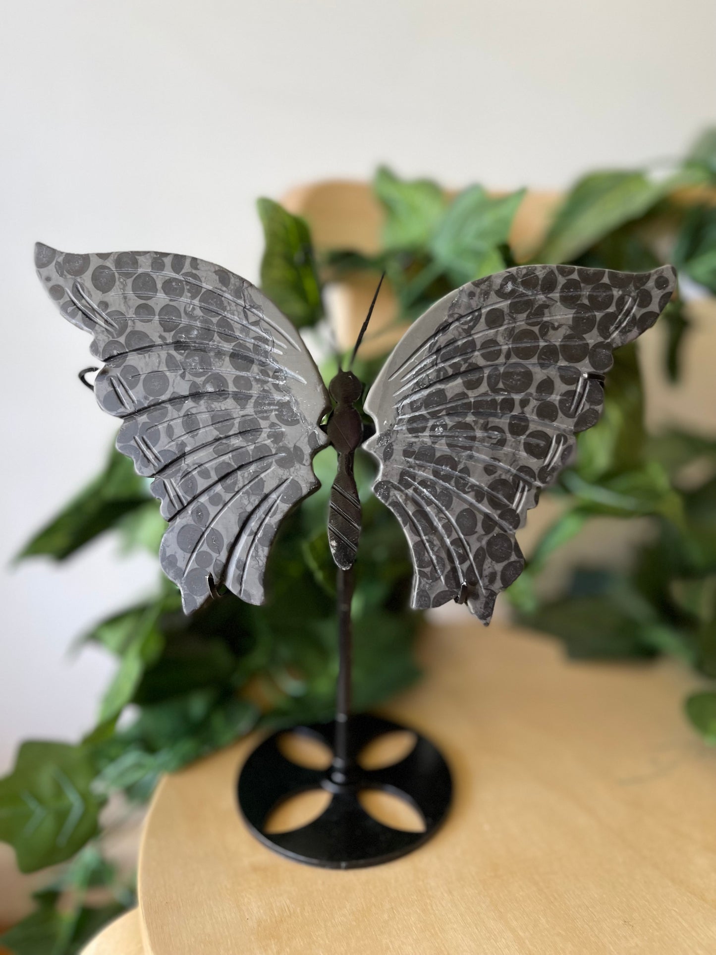 Black Leopard Jasper Butterfly