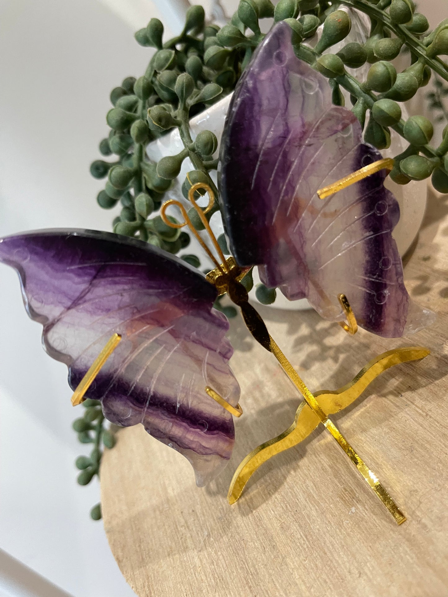 Rainbow Fluorite Butterfly 02