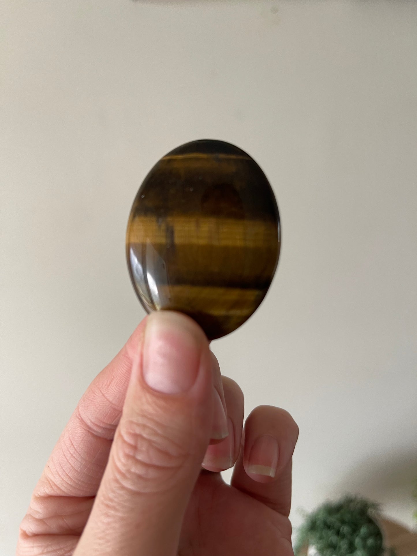 Tigers Eye Worry Stone