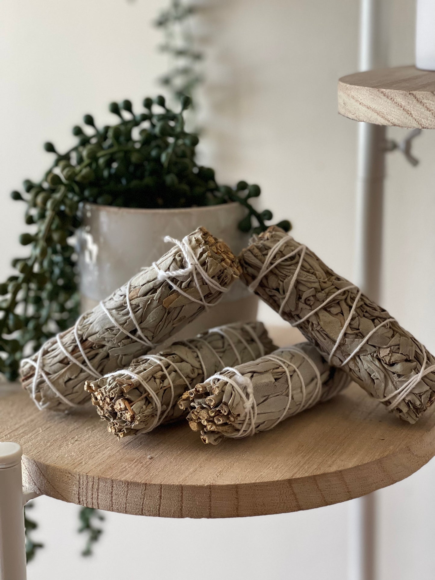 Small White Sage Bundle