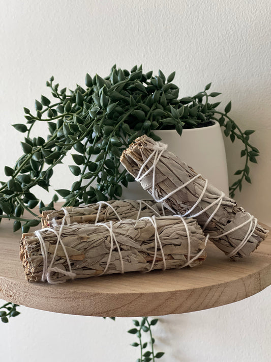 Small White Sage Bundle